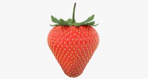strawberry 3d model turbosquid