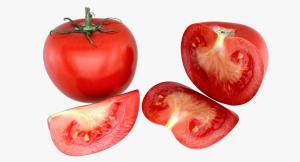 3d model of tomato