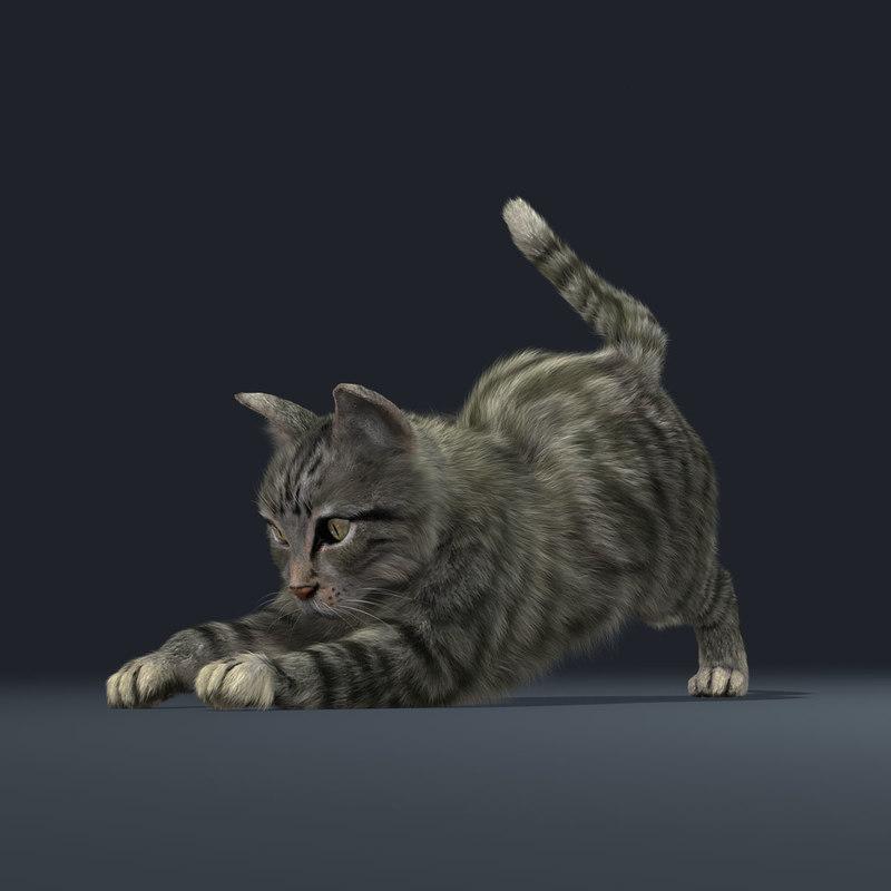 Cat With Fur Animated 3d Model Best Of 3d Models