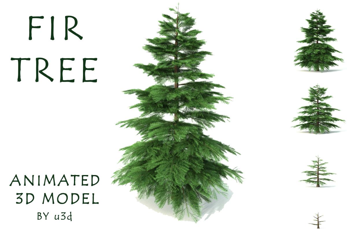 Fir tree animated 3d model | Best Of 3d Models