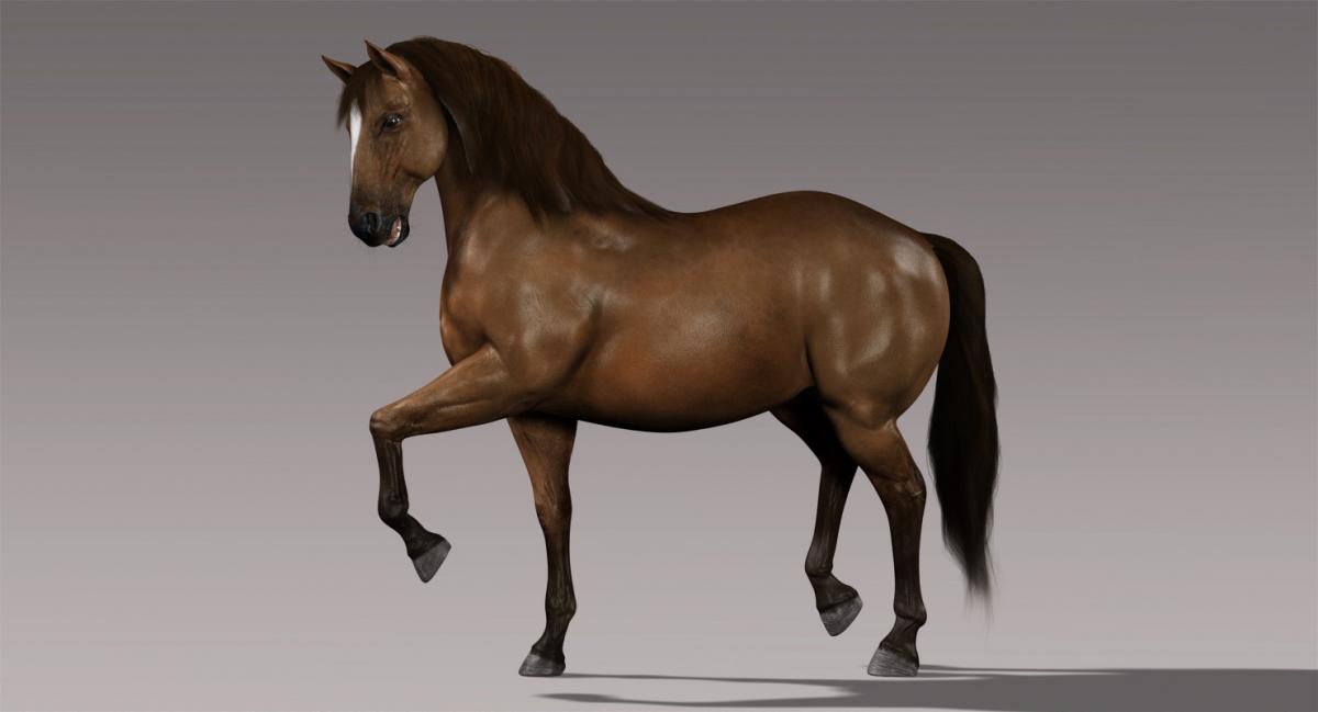 Horse (Brown) (Animated) (Fur) 3d model | Best Of 3d Models