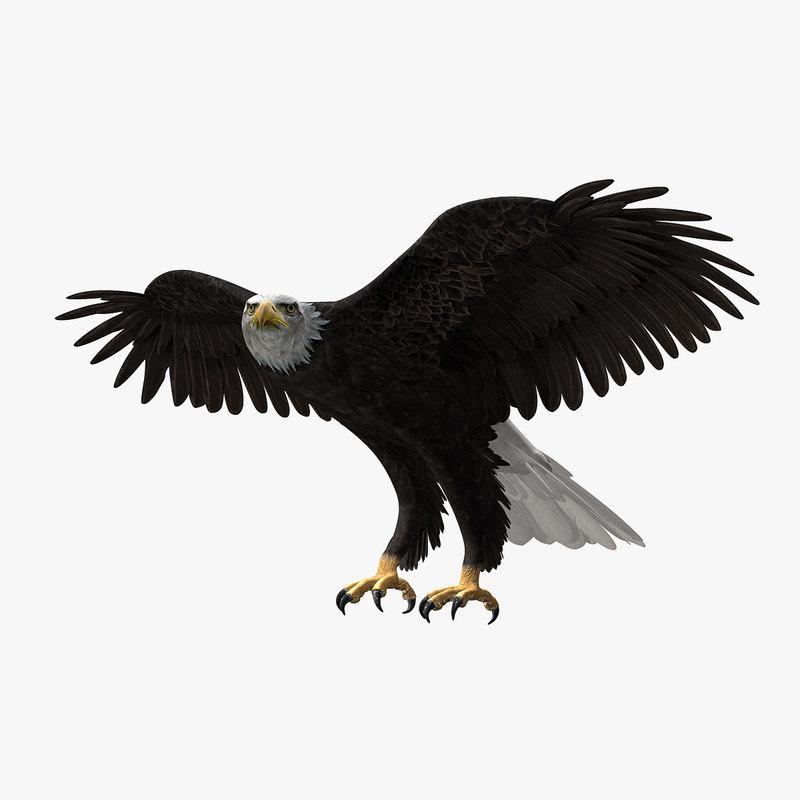 AMERICAN EAGLE 3D STL - 