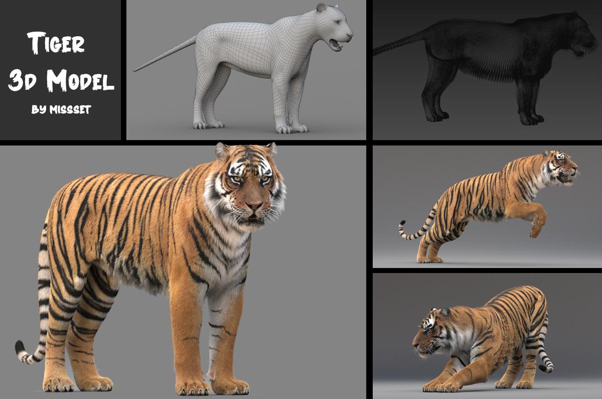 Bengal Tiger | 3D model