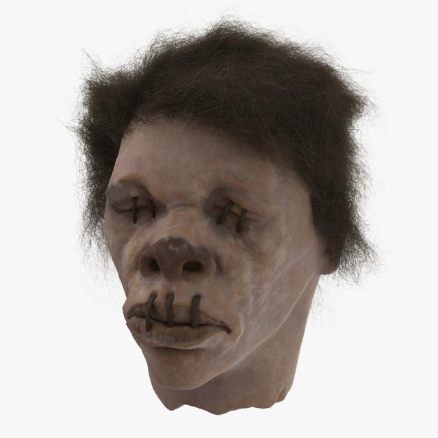 3d model zombie head