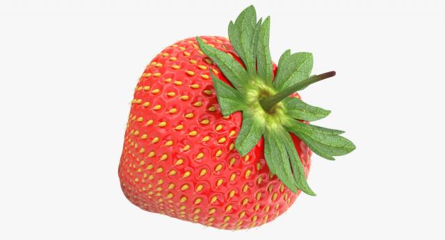 lovers fruit 3d model turbosquid