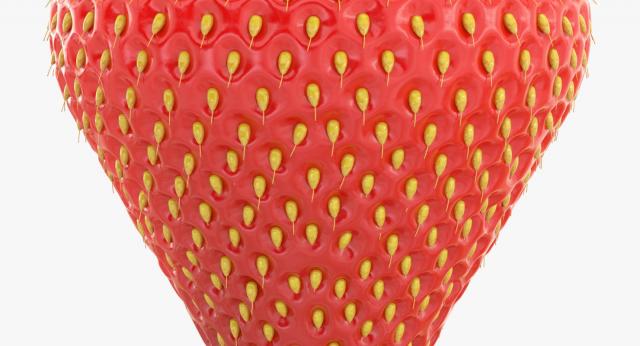 close up of a strawberry 3d model turbosquid