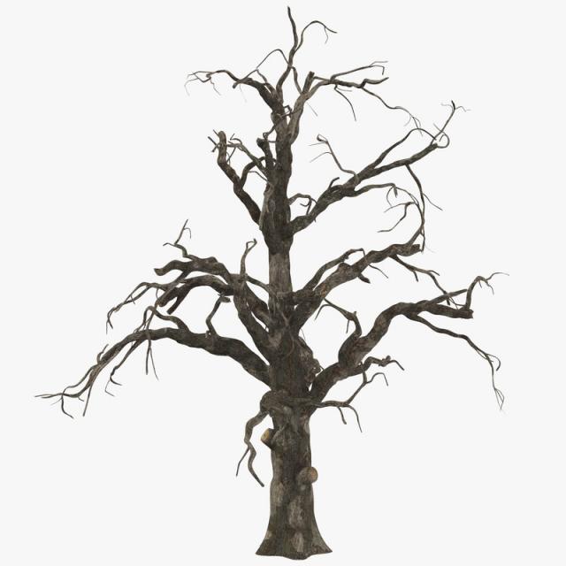 3d model spooky tree