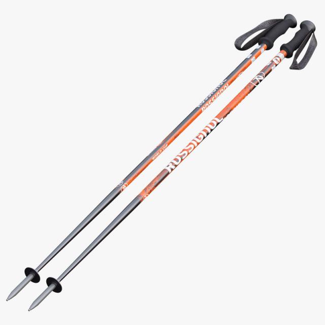 ski poles 3d model turbosquid