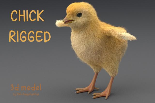 chick 3d model rigged turbosquid