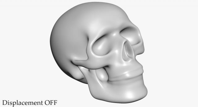 3d model human skeleton skull