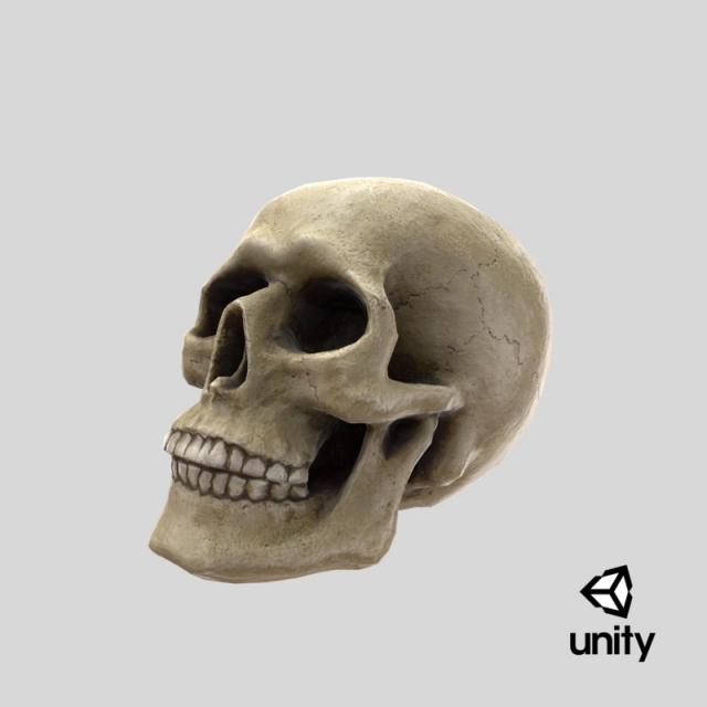 3d model unity skull