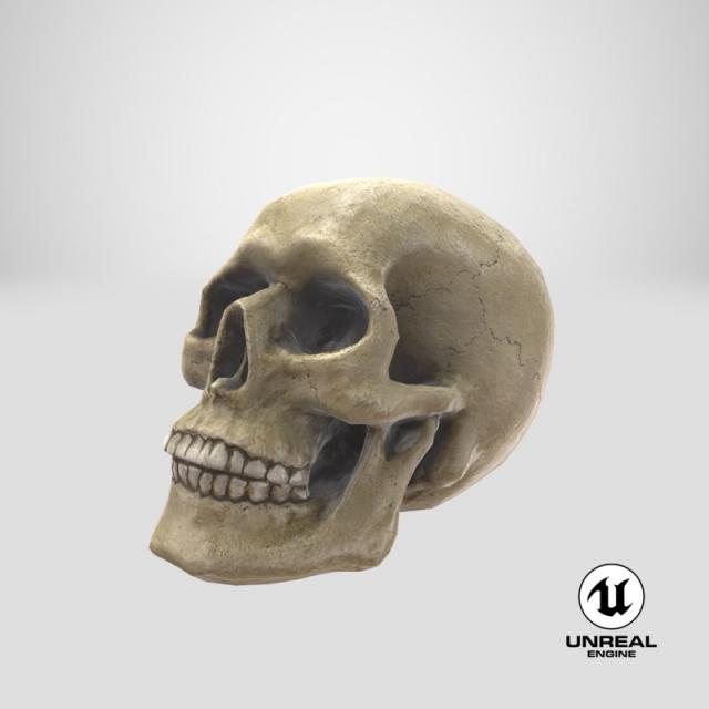 3d model unreal skull
