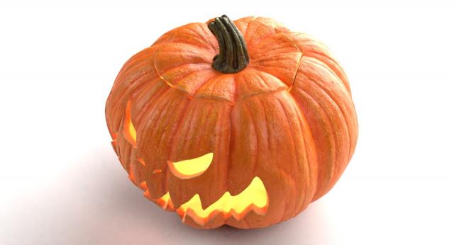 3d model pumpkin
