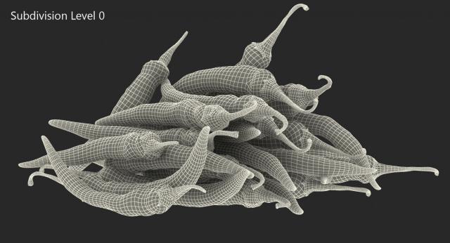 bunch chili peppers 3d model turbosquid