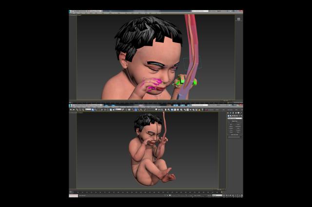 human embryo with hair animated 3d model turbosquid