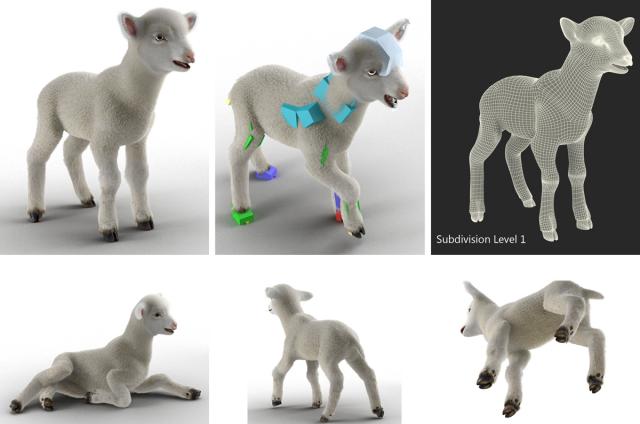 farm animal rigged 3d model turbosquid