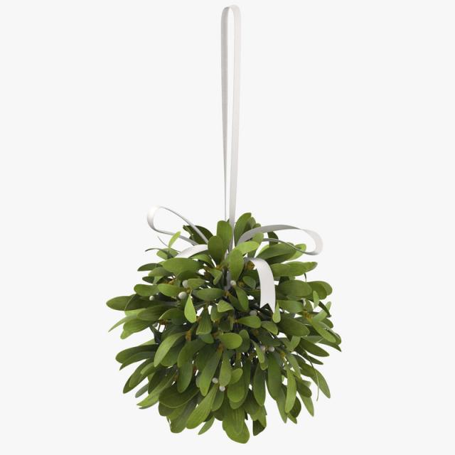 hanging mistletoe xmas 3d model turbosquid mistletoe bouquet christmas 3d model turbosquid