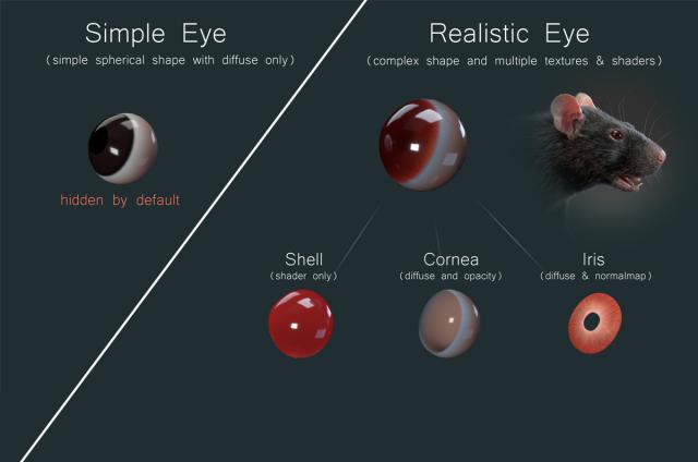 simple and realistic eye of a rat 3d model turbosquid