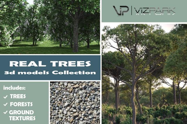 real trees collection 3d models