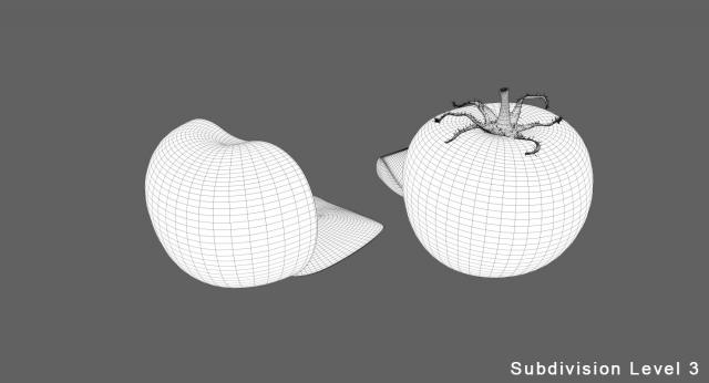 3d model of tomato