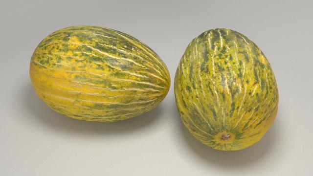 futuro melons 3d model vizpark