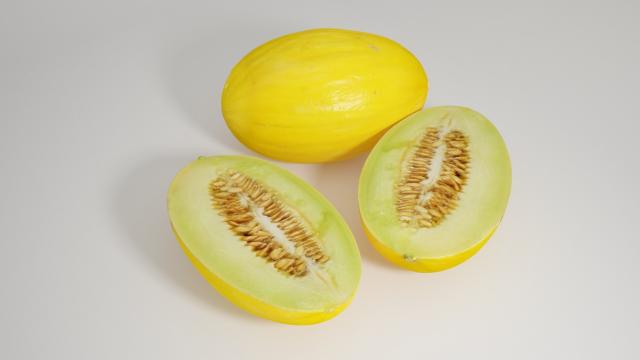 honeydew melon 3d model vizpark