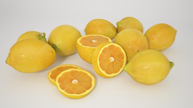 lemons 3d model vizpark