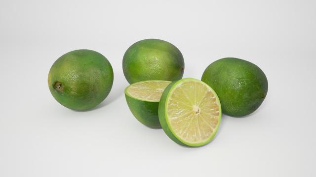 lime 3d model vizpark