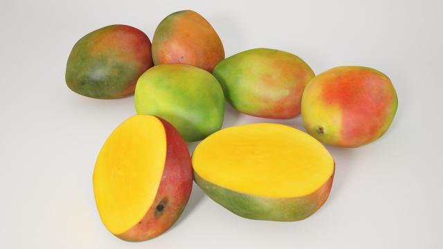 mango 3d model vizpark 