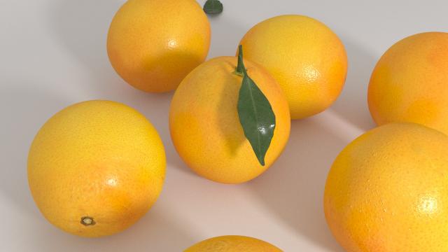 set of oranges 3d model vizpark