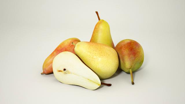 pear 3d model vizpark