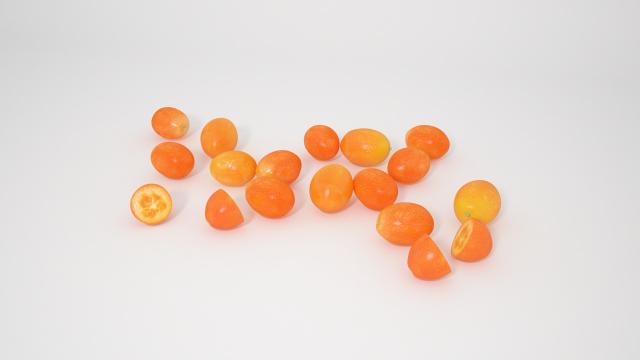 qumquat 3d model vizpark