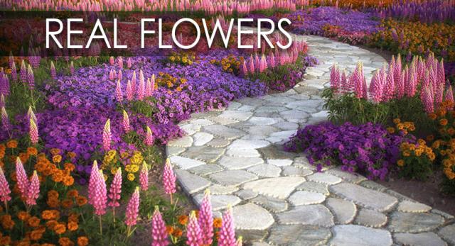 realistic flowers 3d collection 3d model vizpark flowers 3d model vizpark