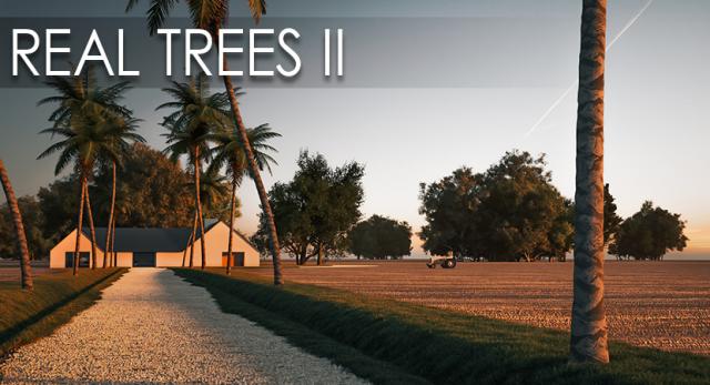 forest and ground textures 3d model vizpark real trees 3d model vizpark