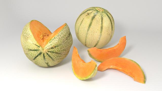 cantaloupe melon 3d model vizpark
