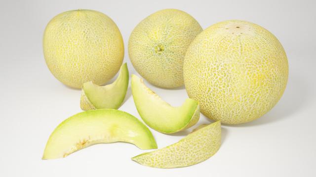 galia melons 3d model vizpark