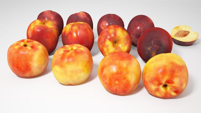 nectarine 3d model vizpark