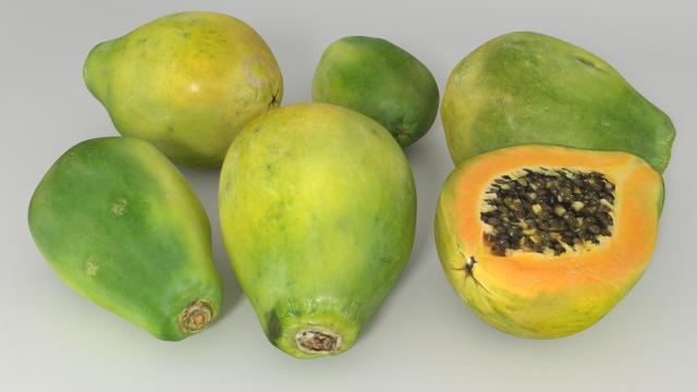 papaya 3d model vizpark