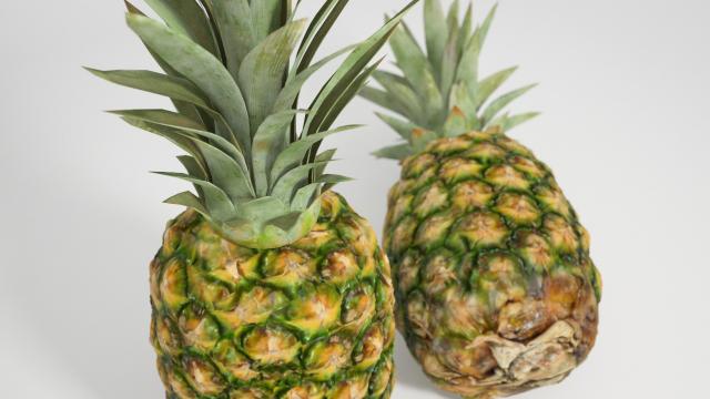pineapples 3d model vizpark