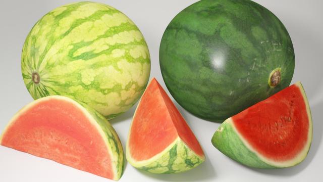 watermelon 3d model vizpark