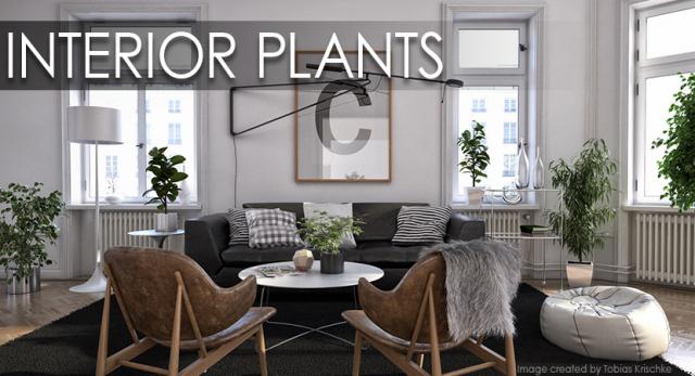 realistic interior plants 3d collection 3d model vizpark interior plants 3d model vizpark