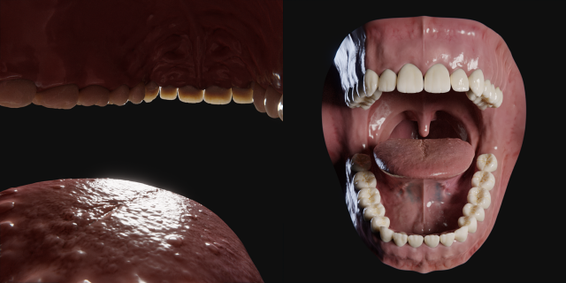 open human mouth 3d model
