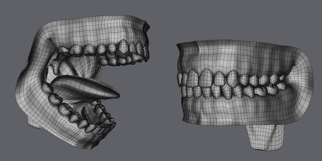 human anatomy 3d model