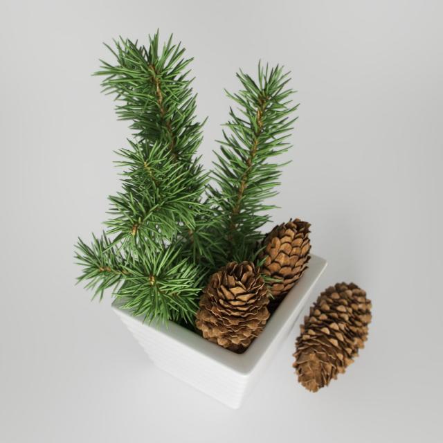 home decoration 3d model christmas decor 3d model