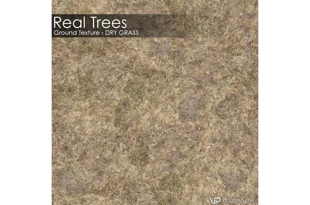 dry grass ground textures 3d model vizpark