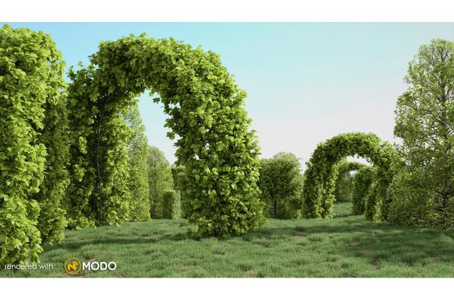 european hornbeam tree 3d model vizpark