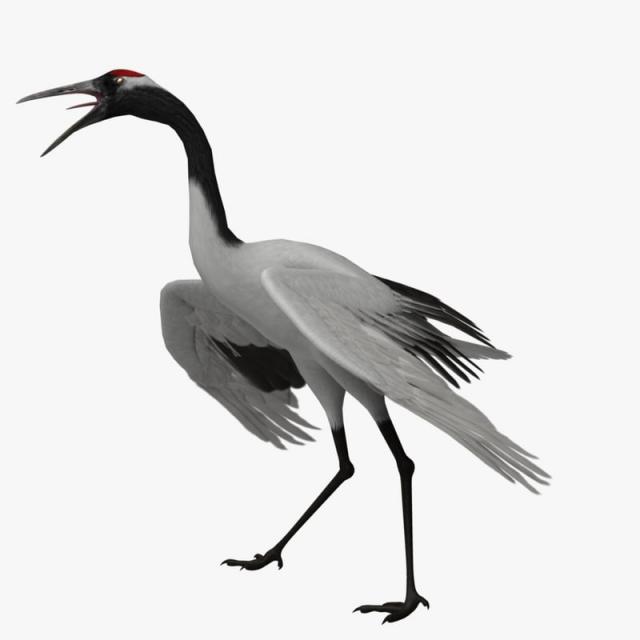 rare crane 3d model turbosquid