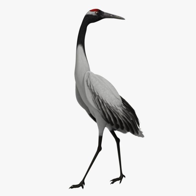 crane standing 3d model turbosquid