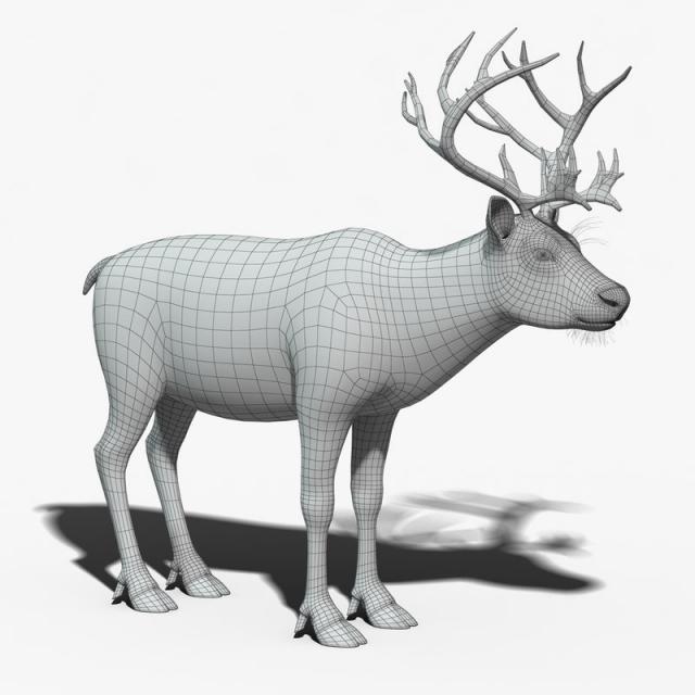 wildlife christmas animal reindeer 3d model turbosquid