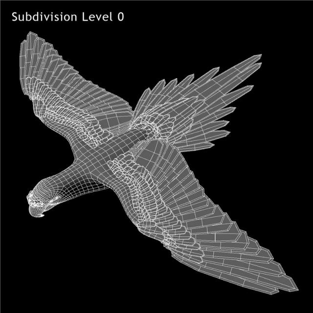 red bird flying 3d model turbosquid